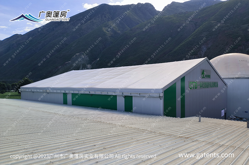 16892417121307312485.jpg IMG_20230629_091459.jpg